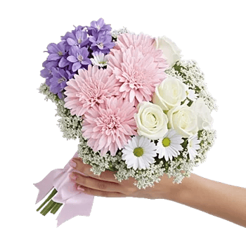 Pastel Pink Roses