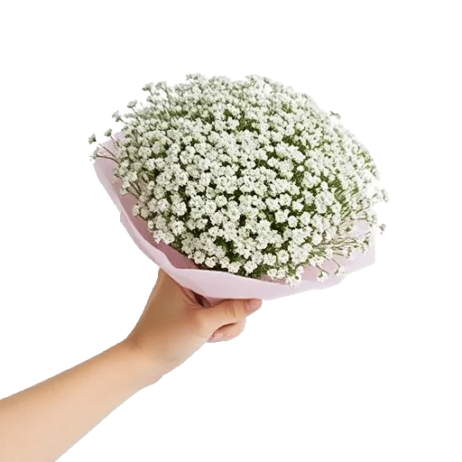 Blossom Radiant Whisper