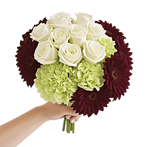 Blushing Rose Symphony