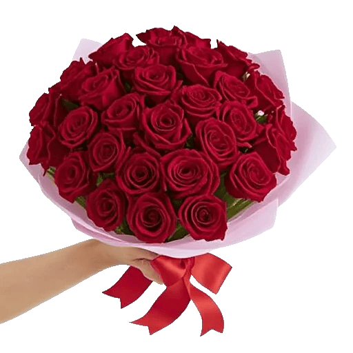 Crimson Rose Elegance