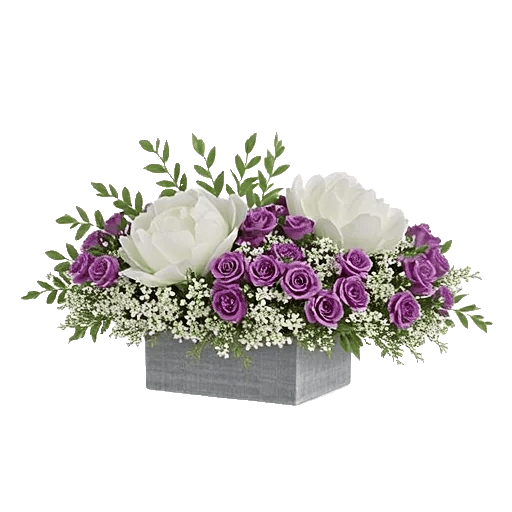 Ivory Blossom Radiance