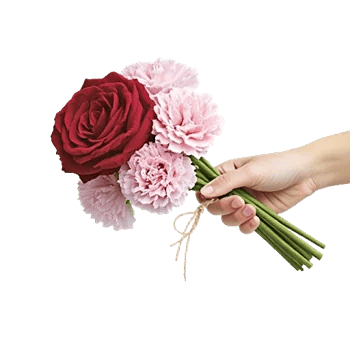 Crimson Rose Elegance