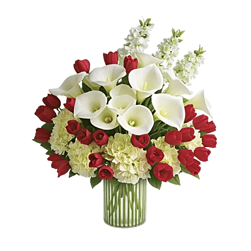 Elegant Calla Lilies