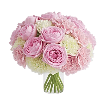 Petal Radiance Bliss