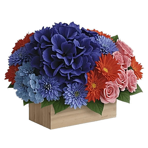 Sapphire Bloom Whisper