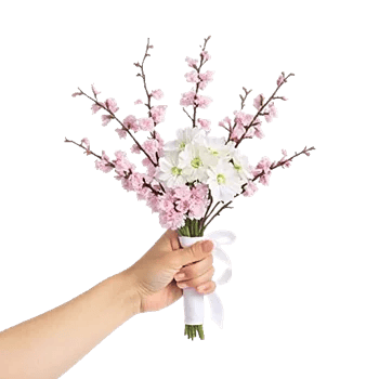 Blossom Breeze Harmony