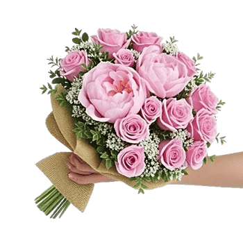 Peony Petal Harmony