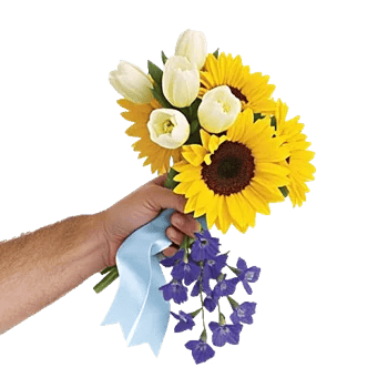 Blossom Harmony Display