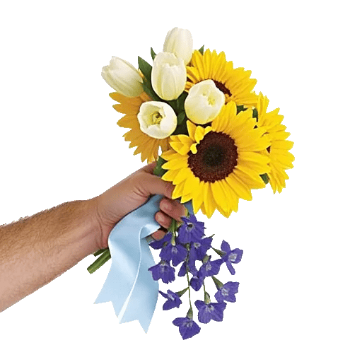 Blossom Harmony Display