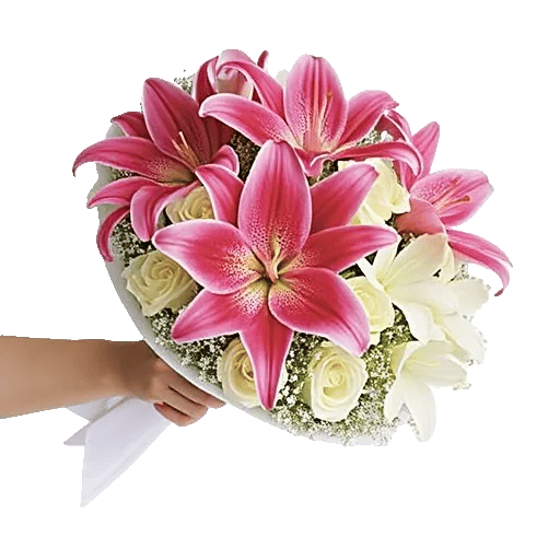 Blossom Harmony Display