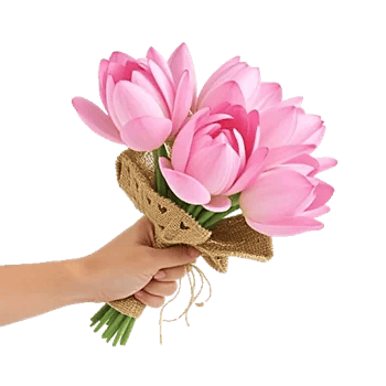 Blossom Petal Serenity