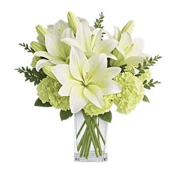 Ivory Blossom Radiance