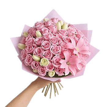 Blushing Rose Symphony