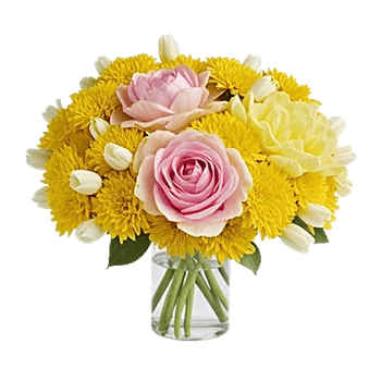 Petal Radiance Bliss