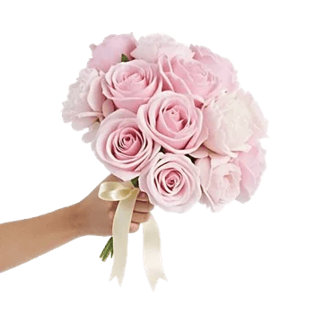 Pastel Pink Roses