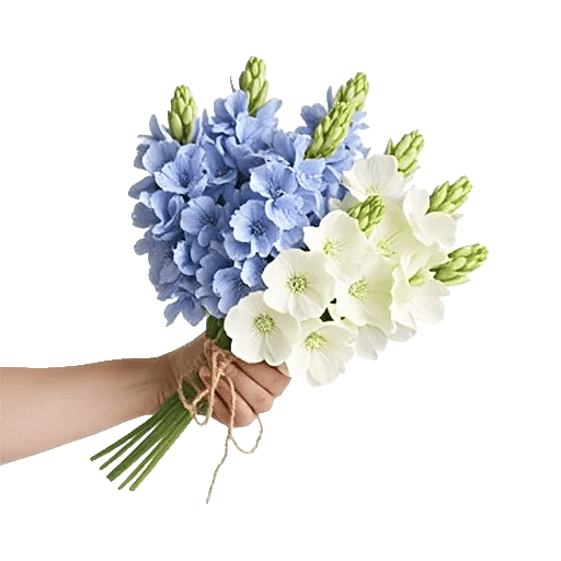 Sapphire Bloom Whisper