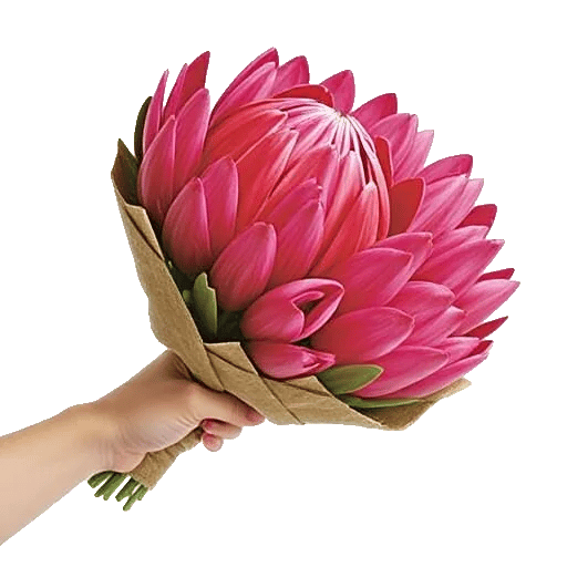 Crimson Rose Elegance