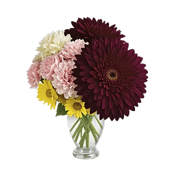 Crimson Blossom Harmony