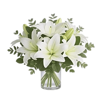 Minimalist White Orchids