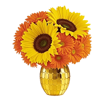 Golden Bloom Radiance
