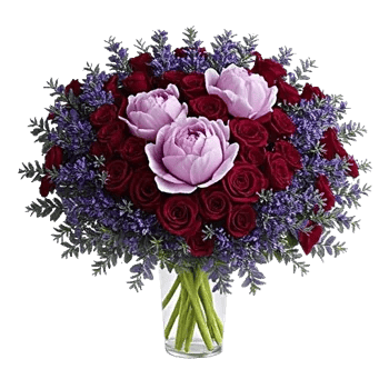 Petal Radiance Bliss