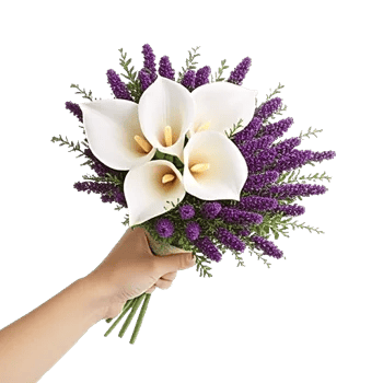 Elegant Calla Lilies