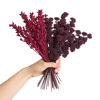 Crimson Blossom Harmony