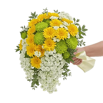 Delicate Petal Cascade