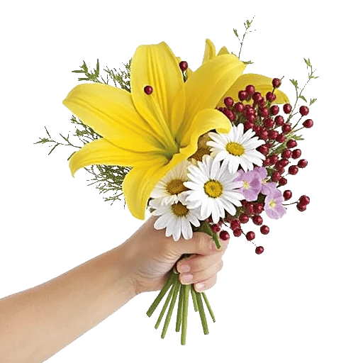 Blossom Harmony Display