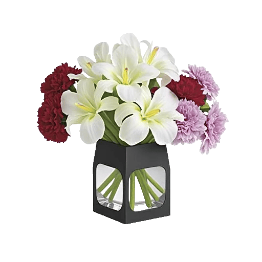 Ivory Blossom Radiance