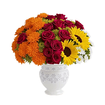 Vibrant Orange Delight