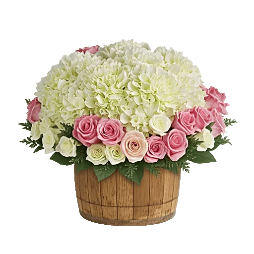 Serene Petal Harmony
