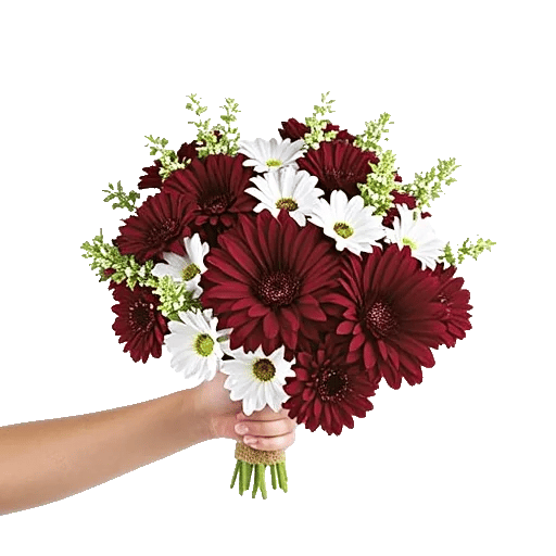 Crimson Blossom Harmony