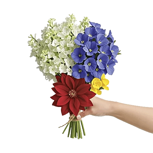 Blossom Harmony Display