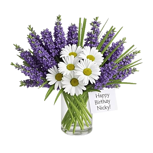 Enchanting Daisy Garden