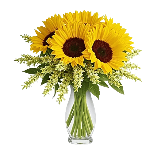 Radiant Bloom Cascade