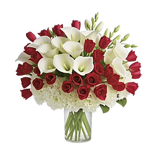 Elegant Calla Lilies