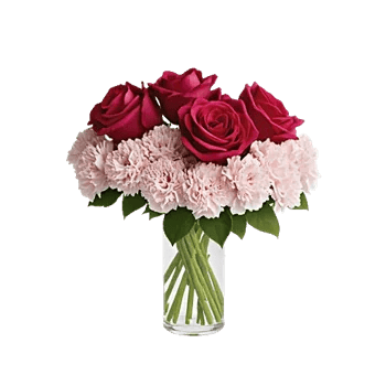 Crimson Rose Elegance