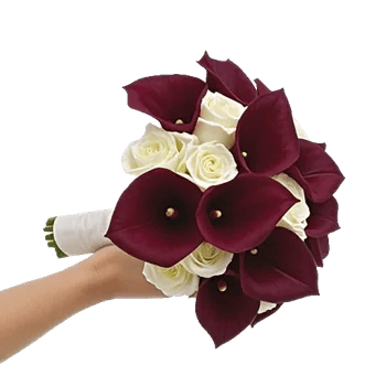 Elegant Calla Lilies