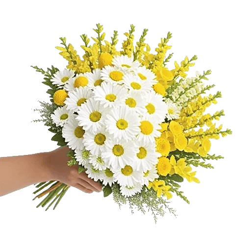 Petal Harmony Bliss