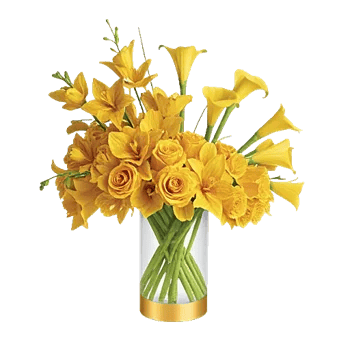 Golden Petal Harmony