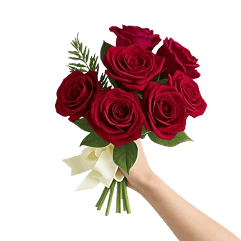 Crimson Rose Elegance