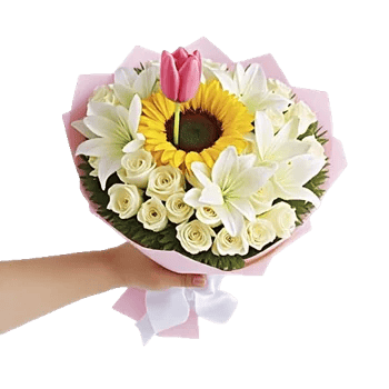 Blossom Harmony Display