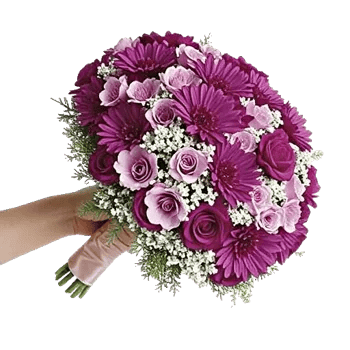 Blossom Petal Serenity