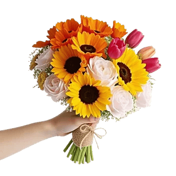 Petal Radiance Bliss