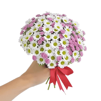 Delicate Petal Cascade