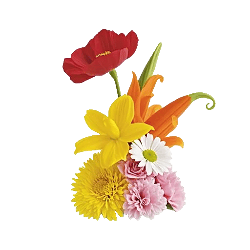 Petal Radiance Bliss