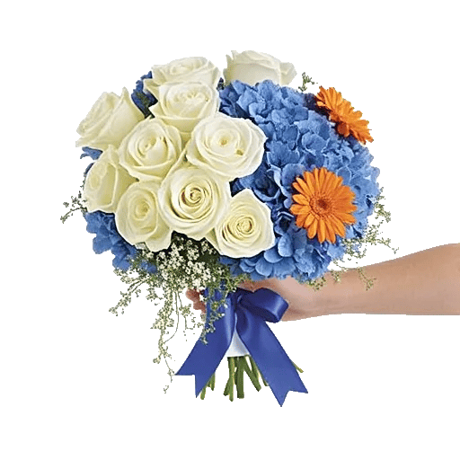 Serene Petal Harmony