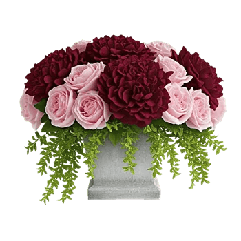 Petal Radiance Bliss