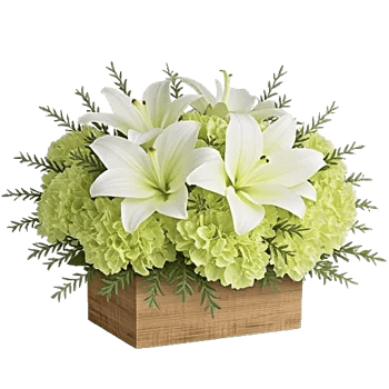 Graceful Lily Display